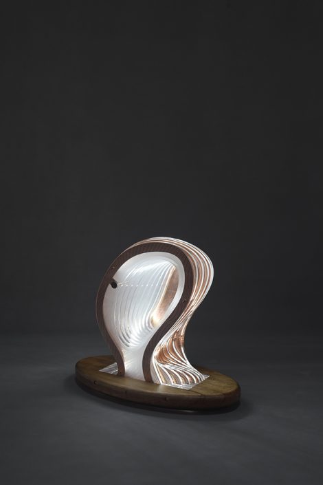 shervin hosseini shervin hosseini-objet02
